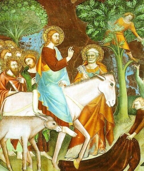 Áldott, ki az Úr nevében jön...