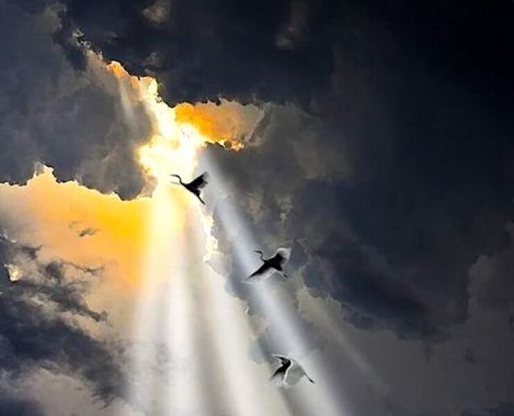 Mélység és magasság - avagy szembenézni a mélységgel...