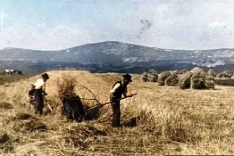 Királyi színbe öltözve...
